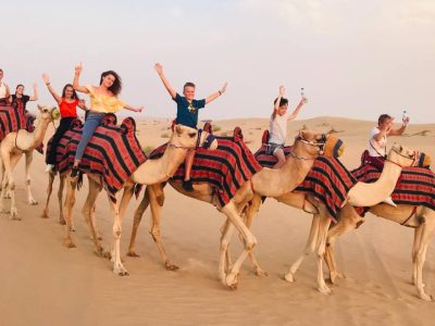 Full Day Desert Safari Tour